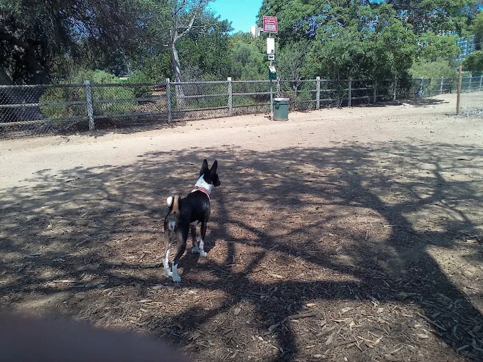 Nate's Point Dog Park 4