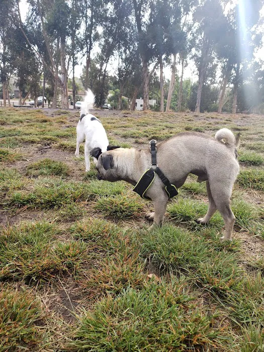 Grape Street Dog Park 9
