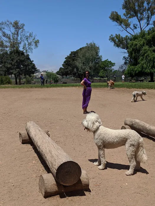 Grape Street Dog Park 4