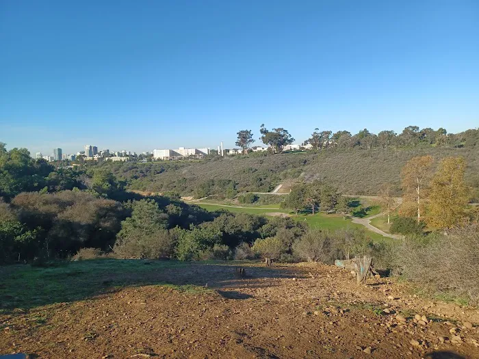 Grape Street Dog Park 2