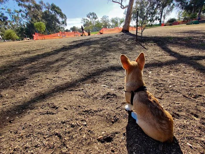 Grape Street Dog Park 10