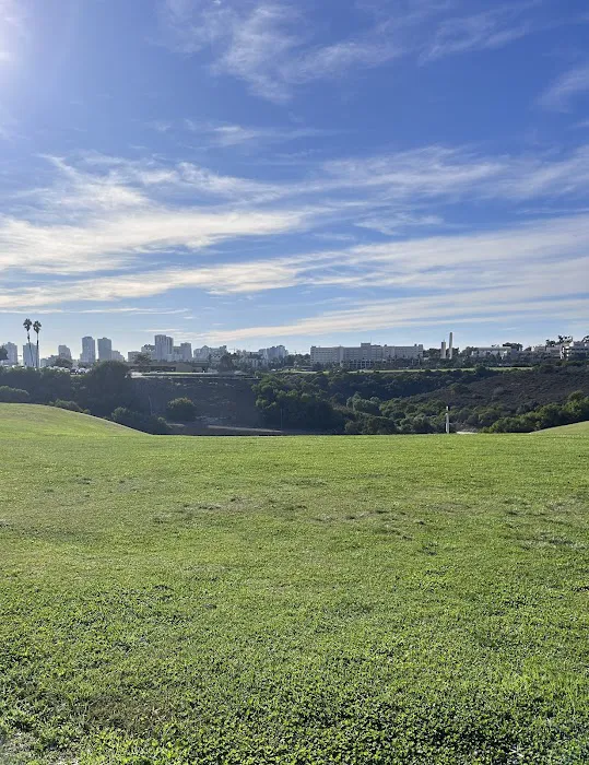 Grape Street Dog Park 7