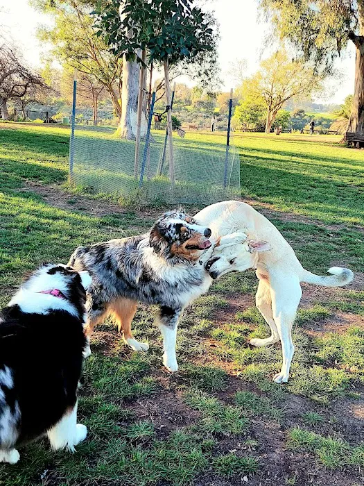 Grape Street Dog Park 8