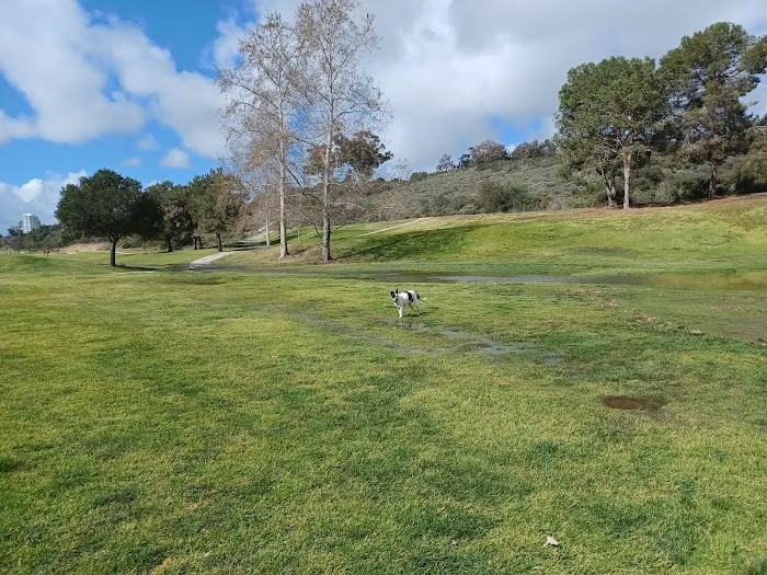 Grape Street Dog Park 3