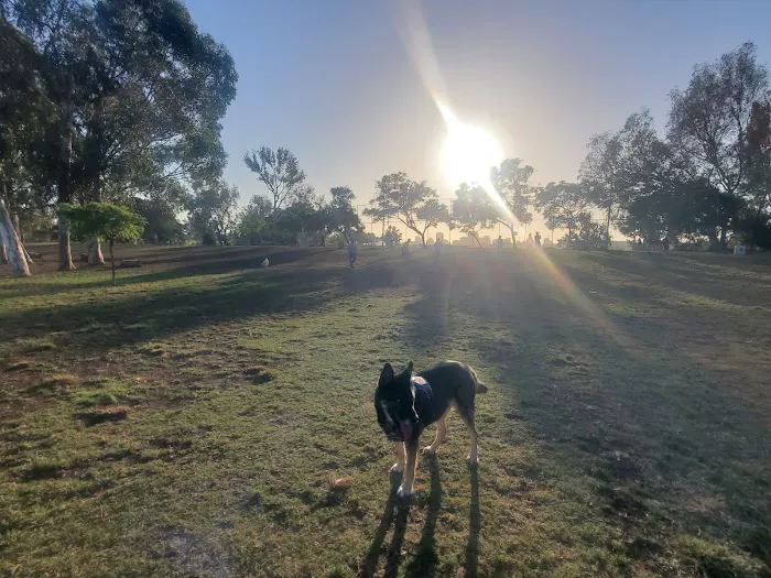 Grape Street Dog Park 6