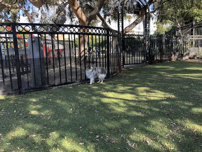 Little Italy Dog Park 5