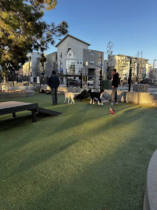 The Dog Park 3