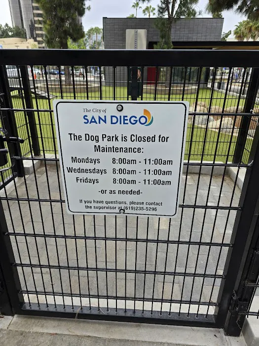 The Dog Park 5