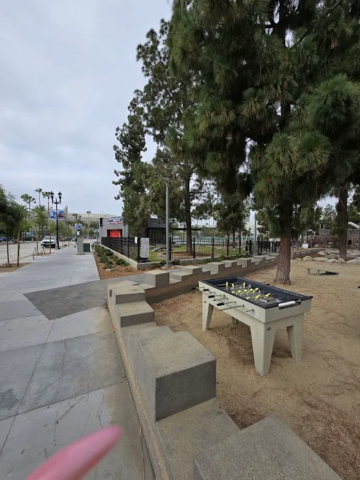 The Dog Park 2