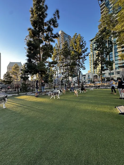 The Dog Park 1
