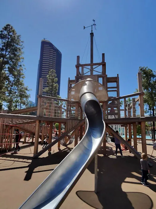 The Dog Park 10