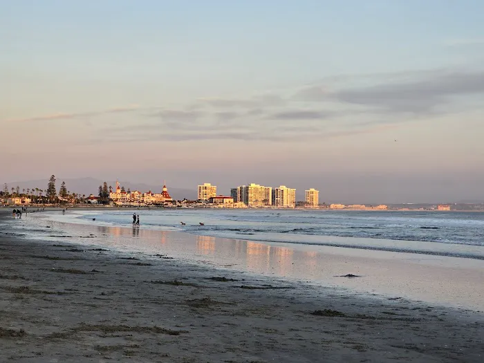 Coronado Dog Beach 2