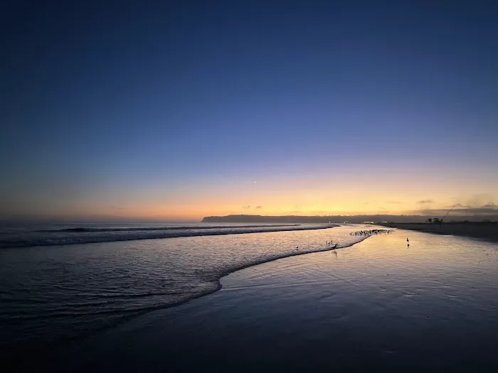 Coronado Dog Beach 3
