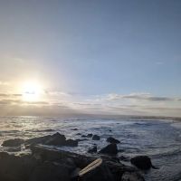 Coronado Dog Beach ico
