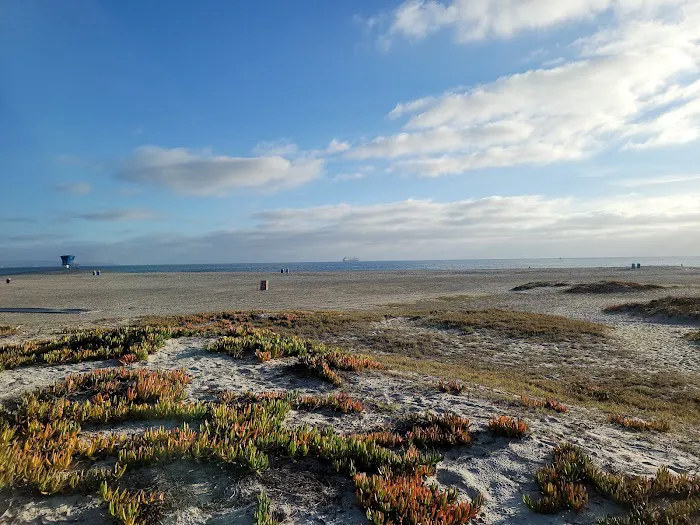 Coronado Dog Beach 7
