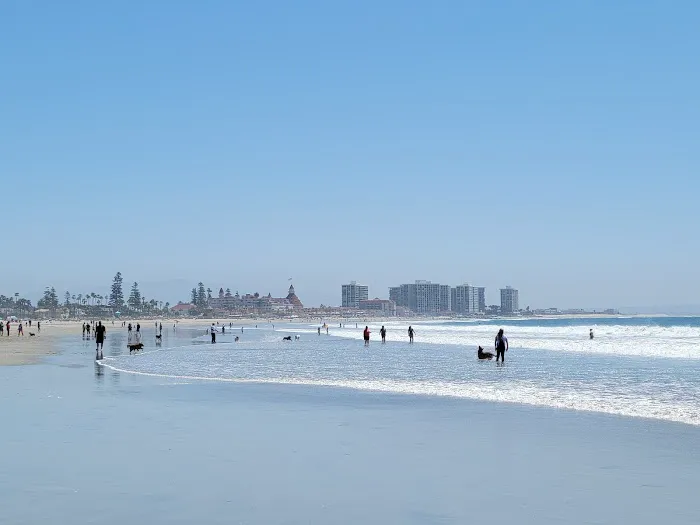 Coronado Dog Beach 9