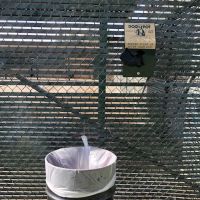 Memorial Dog Park ico