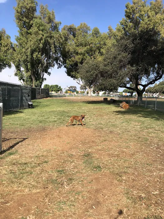 Memorial Dog Park 4