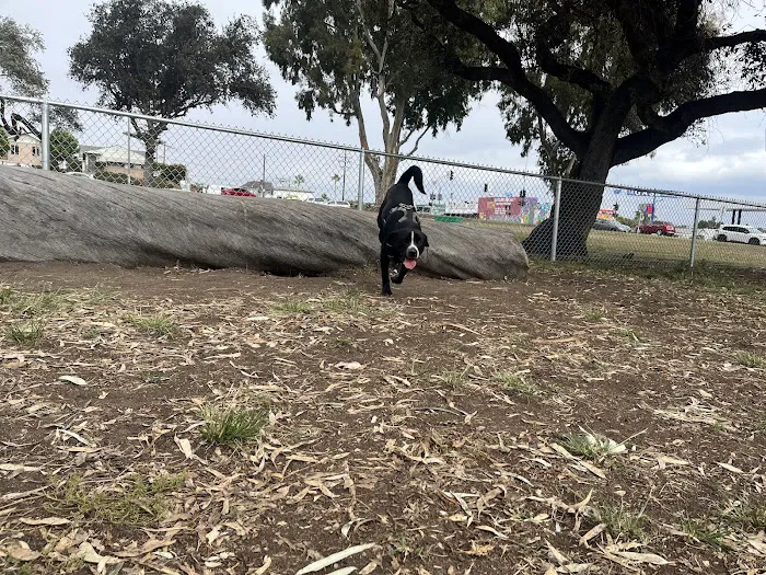 Memorial Dog Park 10