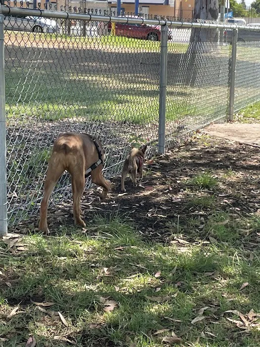 Memorial Dog Park 6