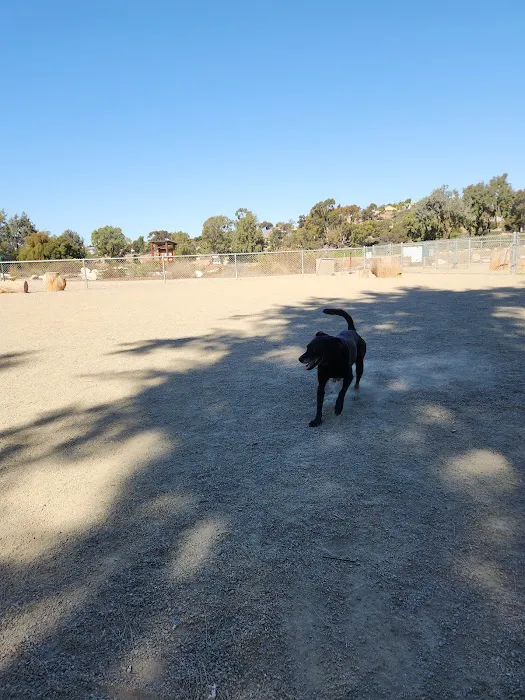Paradise Hills Dog Park 3