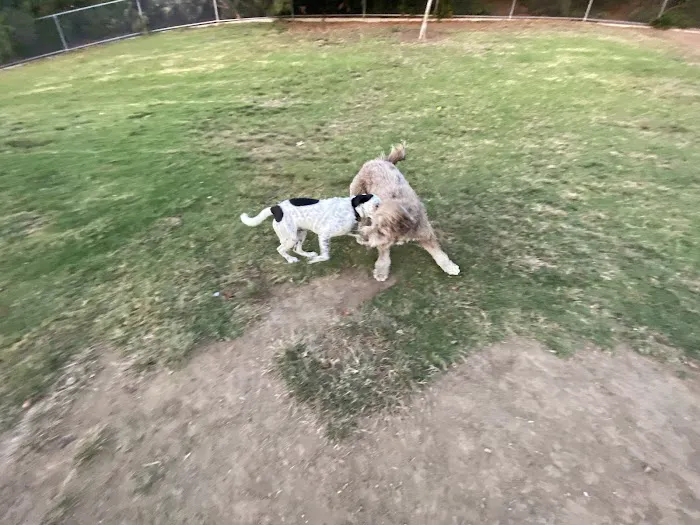 Mount San Miguel Dog Park 3