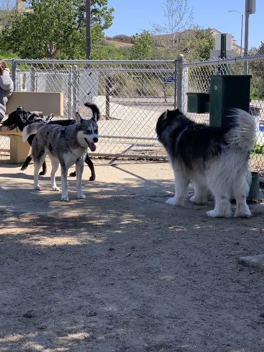 Mount San Miguel Dog Park 1