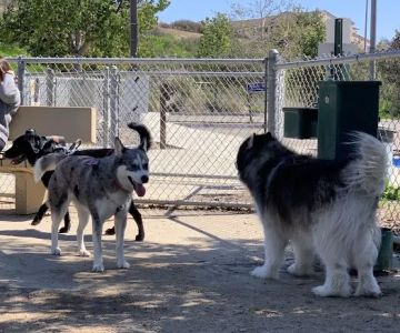 Mount San Miguel Dog Park