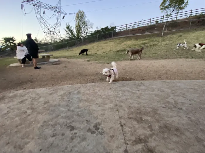 Mount San Miguel Dog Park 2