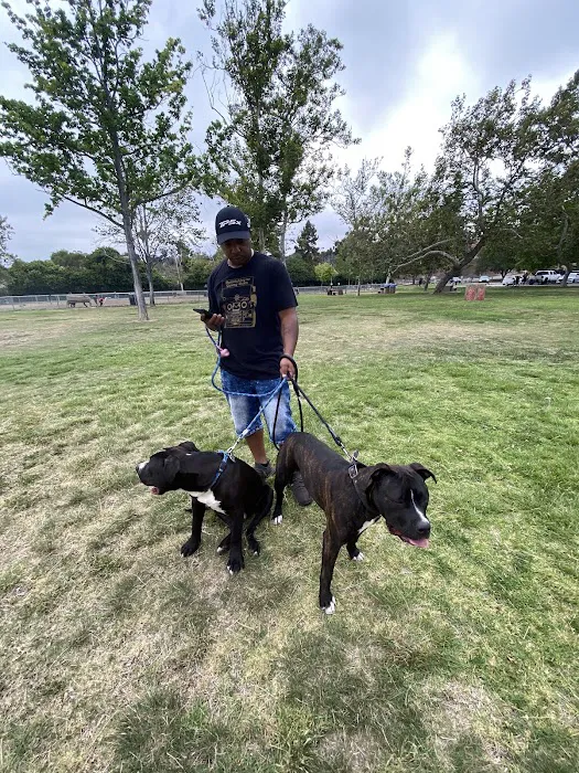Rohr Dog Park 8
