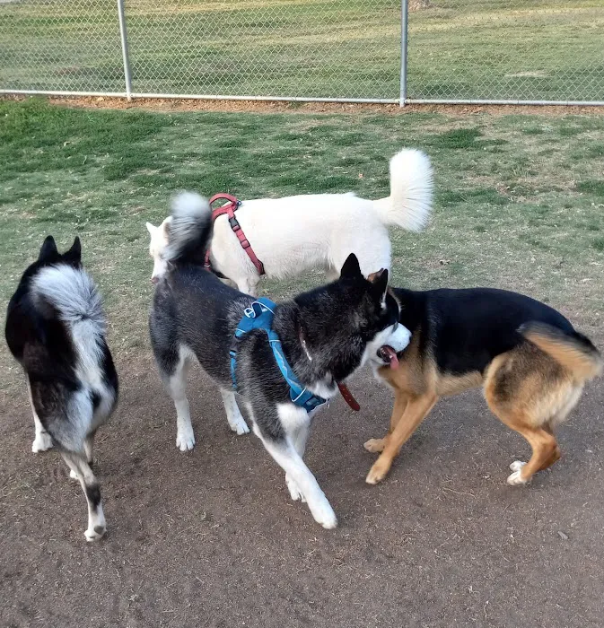 Rohr Dog Park 3