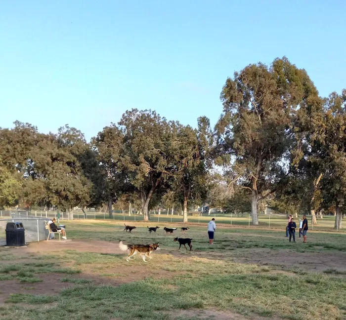 Rohr Dog Park 4