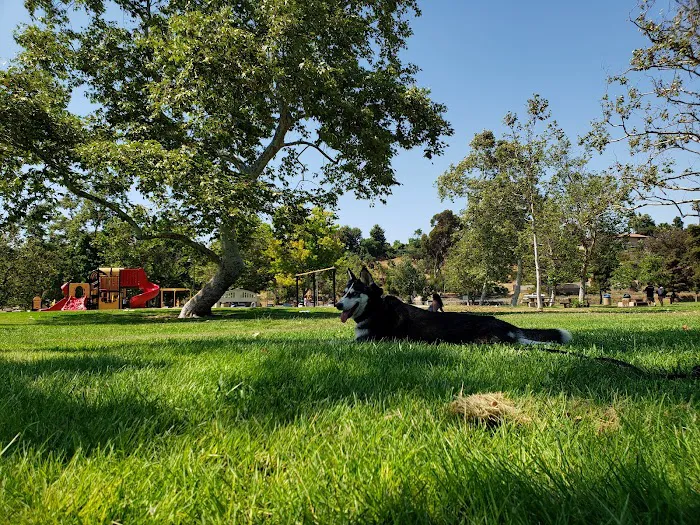 Rohr Dog Park 10