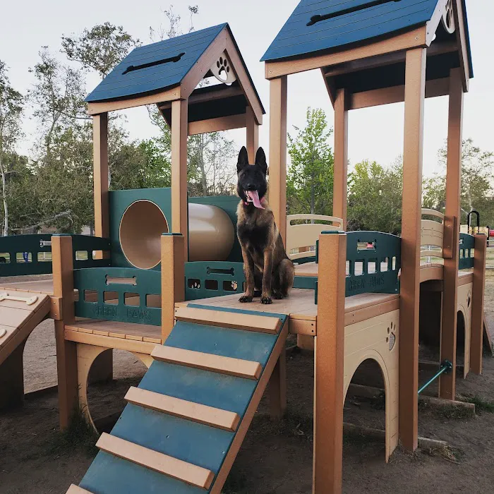 Rohr Dog Park 5