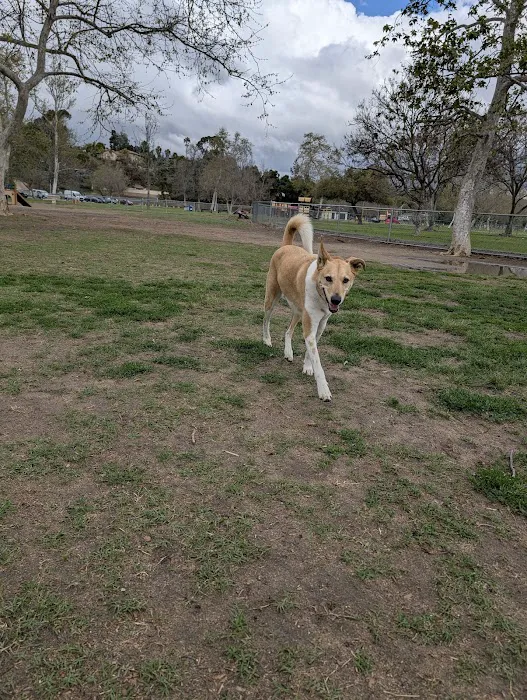 Rohr Dog Park 2