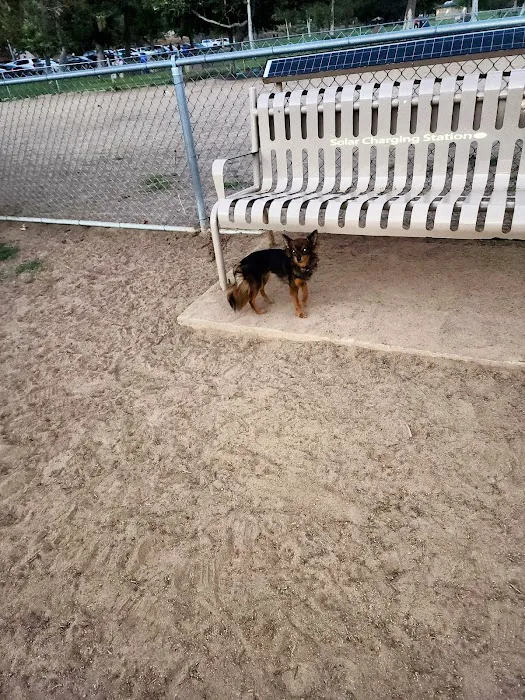 Rohr Dog Park 6