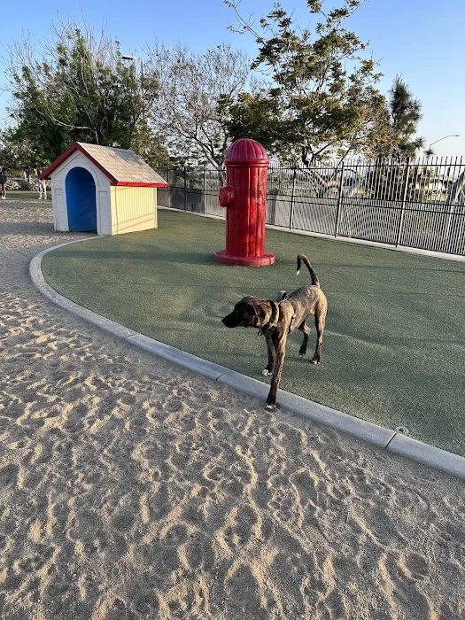 Town Center Dog Park 9