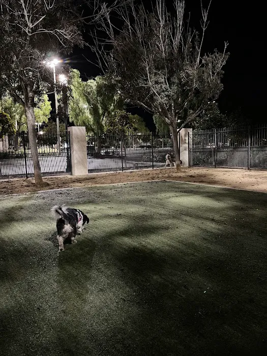 Town Center Dog Park 7