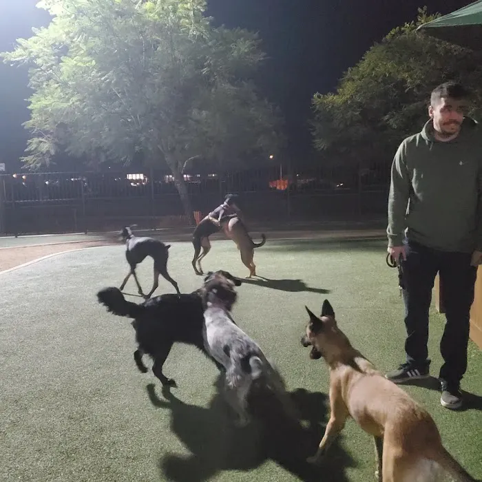 Town Center Dog Park 2