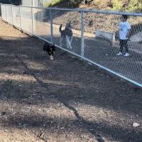 Eucalyptus Dog Park ico