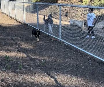 Eucalyptus Dog Park