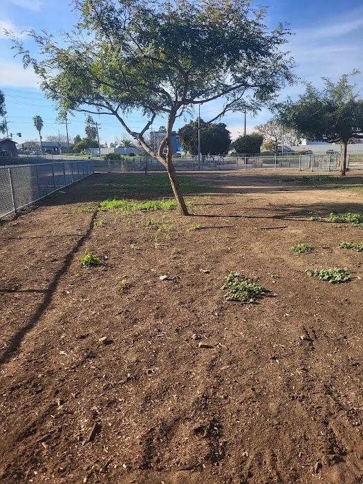 Eucalyptus Dog Park 7