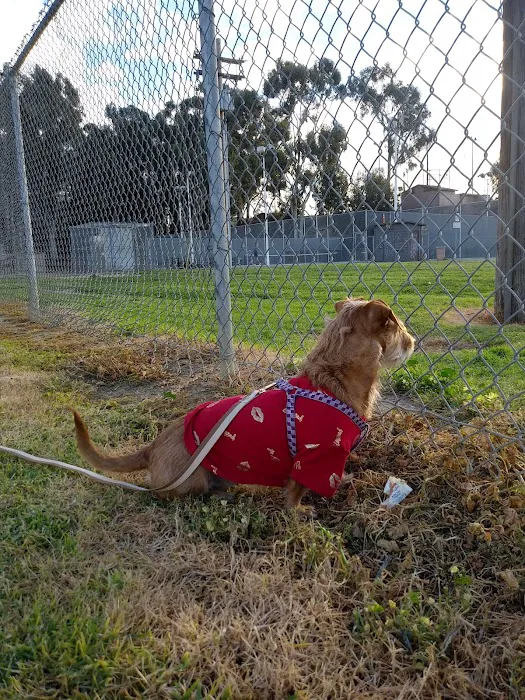 Eucalyptus Dog Park 10