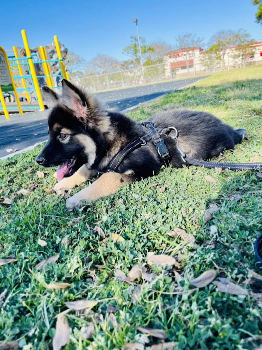 Eucalyptus Dog Park 2