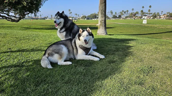 Coronado Cays Dog Park 3