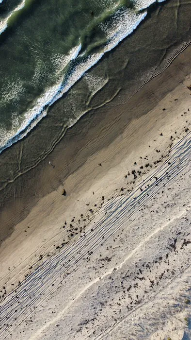 Coronado Cays Dog Park 4