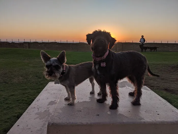 Coronado Cays Dog Park 10