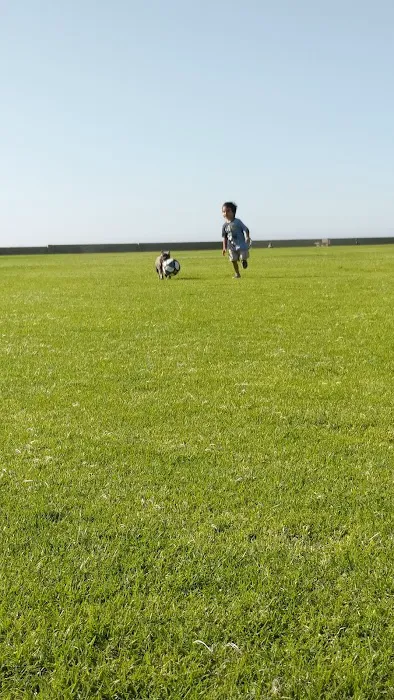 Coronado Cays Dog Park 5