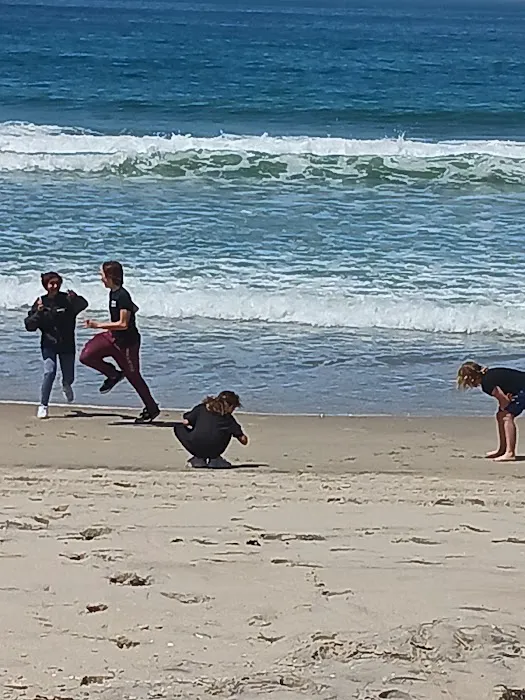 Coronado Cays Dog Park 8