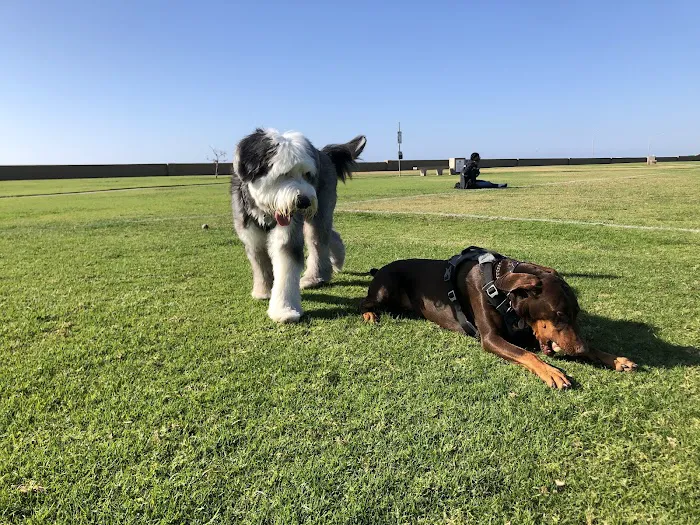 Coronado Cays Dog Park 2